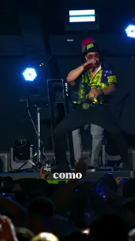TOQUE CARINHOSO - @@natanzinholimaoficial  . . . . #arrocha #natanzinholimaoficial #music #brega #fyppppppppppppppppppppppp 