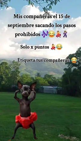 15 de septiembre 💃😂#lasbailarinasdemipueblo #😂😂😂 #🔥🔥🔥 #💃😂🙈😜 #🤣🤣🤣 @La niña 502 💘🇬🇹 @💖🥺LA NIÑA  GT❤️‍🩹🥺❤️‍🔥 @🌱🖤Nelson👑💗Choc🐣🖤 @> Horacio<💗🍃🫀 