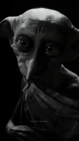 Respect 💯 #Dobby #harrypoter #emotional 