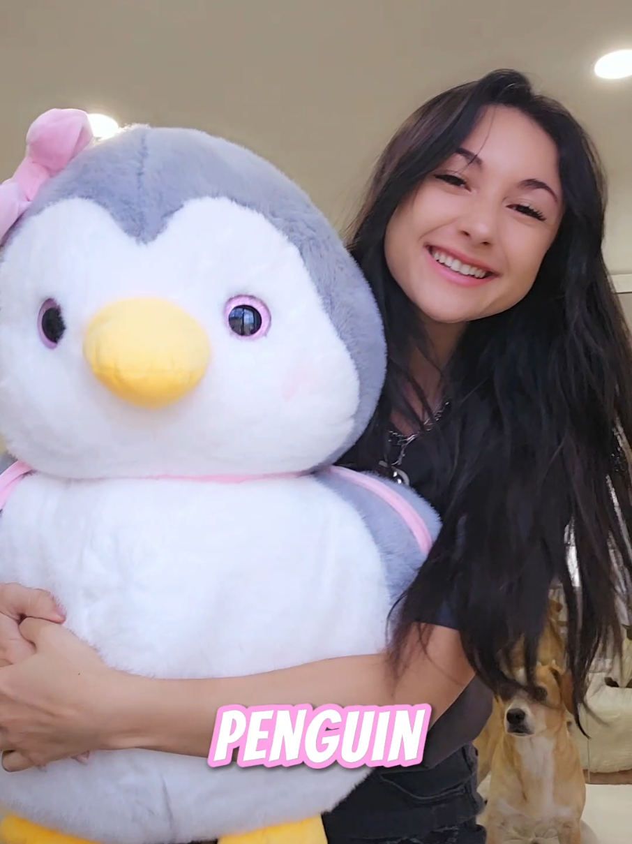 what should we name our new penguin friend? 🐧💕
