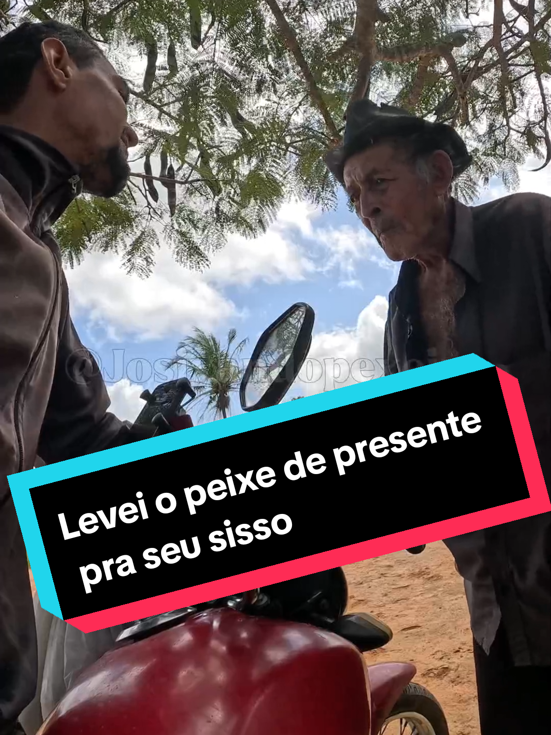Levei o peixe de presente pra seu sisso #simplicidade #interior #peixe 