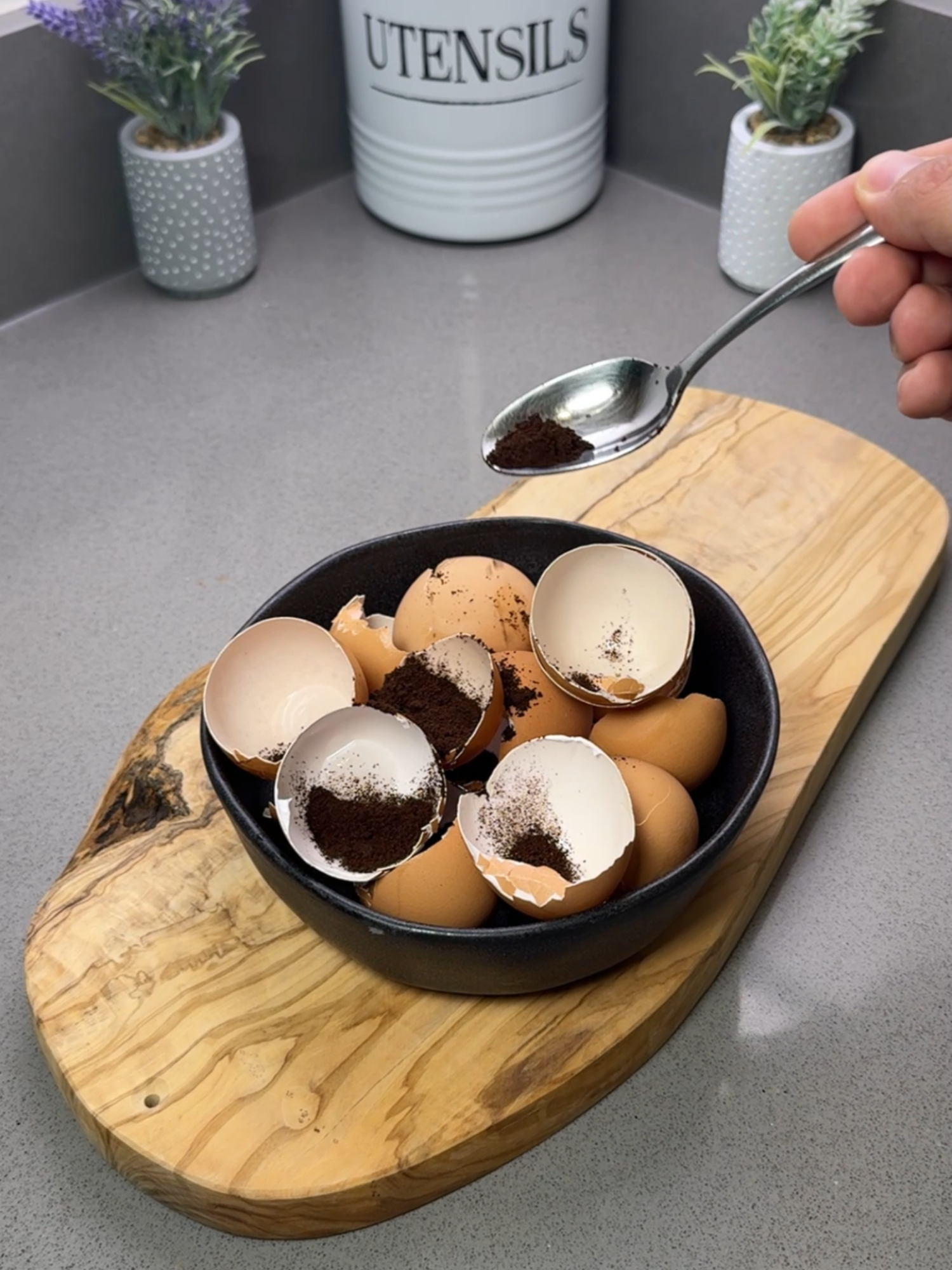 I tried coffee on eggshells… The results left me speechless 🤩 #eggs #plants #LifeHack
