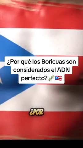 ¿Por qué los Boricuas son considerados el ADN perfecto?🧬🇵🇷 Colonial Truth Boricua Resistance Cultural Erasure Hidden History Decolonize Puerto Rico Independence Movement Puerto Rico Today Empire and Resistance Diaspora Stories Puerto Rico  #adn #puertorico #historia #taino #africa 