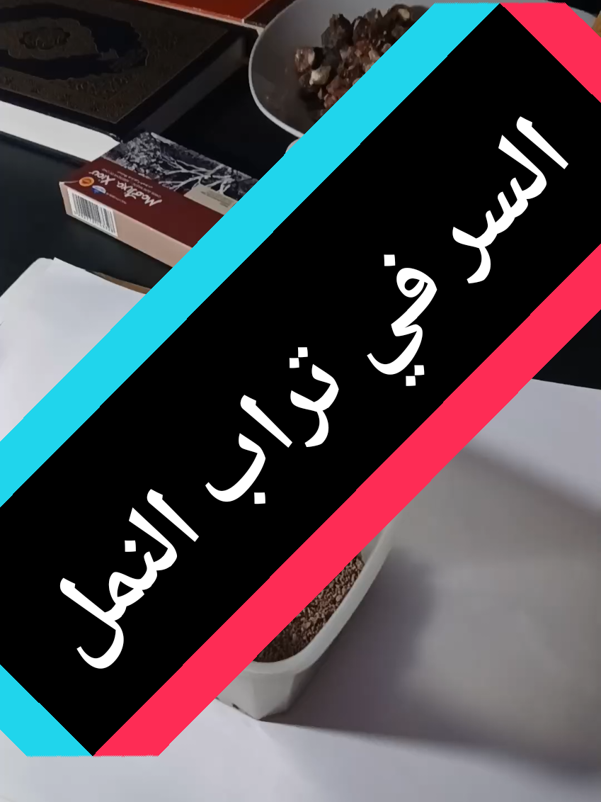#VoiceEffects #الجالية_المغربية_في_كل_مكان💚 #bruxelles #holanda🇳🇱 #القران_الكريم 