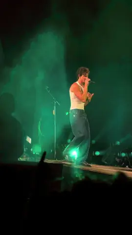 @Shawn Mendes 🫶🏼 #shawnmendes #zurichopenair #mercy #fyp #switzerland @ZOA | Zürich Openair 