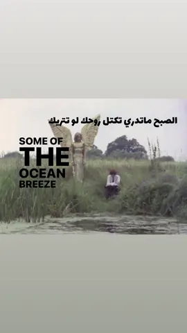 #riri #اكسبلور #عشوائيات #fyp #Vlog 