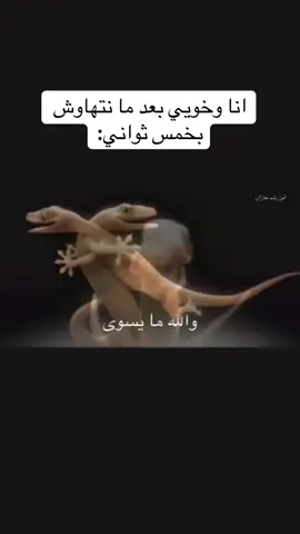 والله ما يسوى اعيش الدنيا بدونك😔 #والله_مايسوى_اعيش_الدنيا_دونك #fyp #fypage #trend #مالي_خلق_احط_هاشتاقات #حطو_لايك #trending  #meme #music