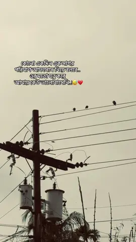 কোনো একদিন এক সাগর পরিমাণ আফসোস নিয়ে বলবে.. ওর মতো যত্ন করে   আমায় কেউ ভালোবাসেনি..!😅💔 #bd #tiktok #foryou 