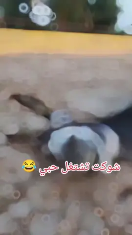 #منشن #البيست_فريند #😂😂 
