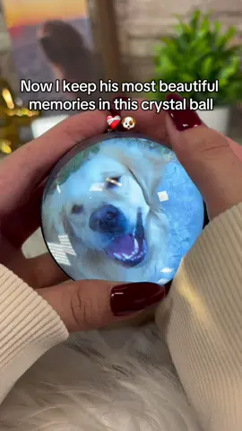 It’s the best gift I got 🥹 - Is a personalized crystal ball that plays your favorites videos. Perfect for remembering your favorite memories with your dogs 🐶 💕 #doglover #crystalball 