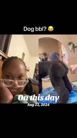 #onthisday 😭😭 #dog #bbl #trending #fypシ゚viral #olebrandselect #tiktok 