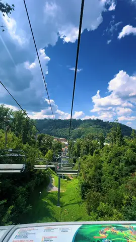 Wait for the one who wants to do life with you! ☀️ #adventure #life #partner #tennessee #companion