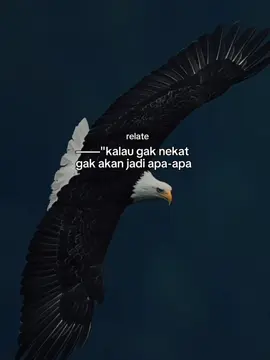BERANI