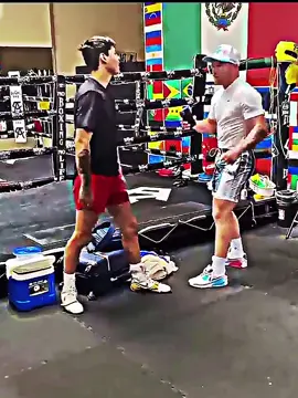 Canelo Alvarez boxing Highlights #boxing #mma #highlights #trending #fyp 