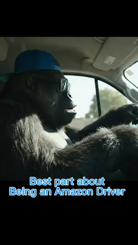 Amazon Driver #amazondriver #amazondeliverydriver #deliverydriver 