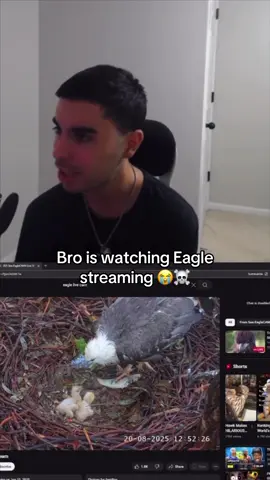 Kick- Bbucketcenter (link in bio) #fyp #foryoupage #viral #streamer #xyzbca 