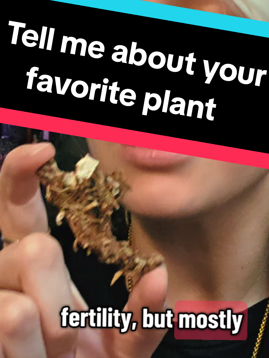 #witch #witchtok #greenwitch #herbalmagic #plantally 