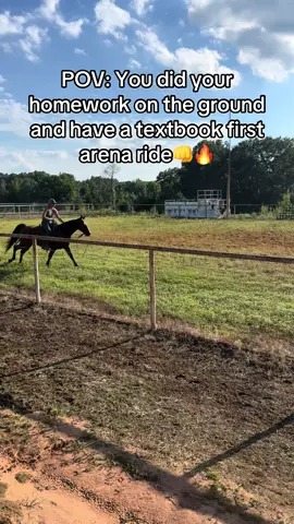 We don’t BS around here. 🤪 #fyp #horsetraining #applythemethod 
