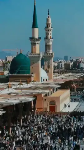 Saturday status notification 23/ August/2025 status notification Islamic video status notification🔔 #trending #foryoupage #fypジ #fypジ #tiktok 