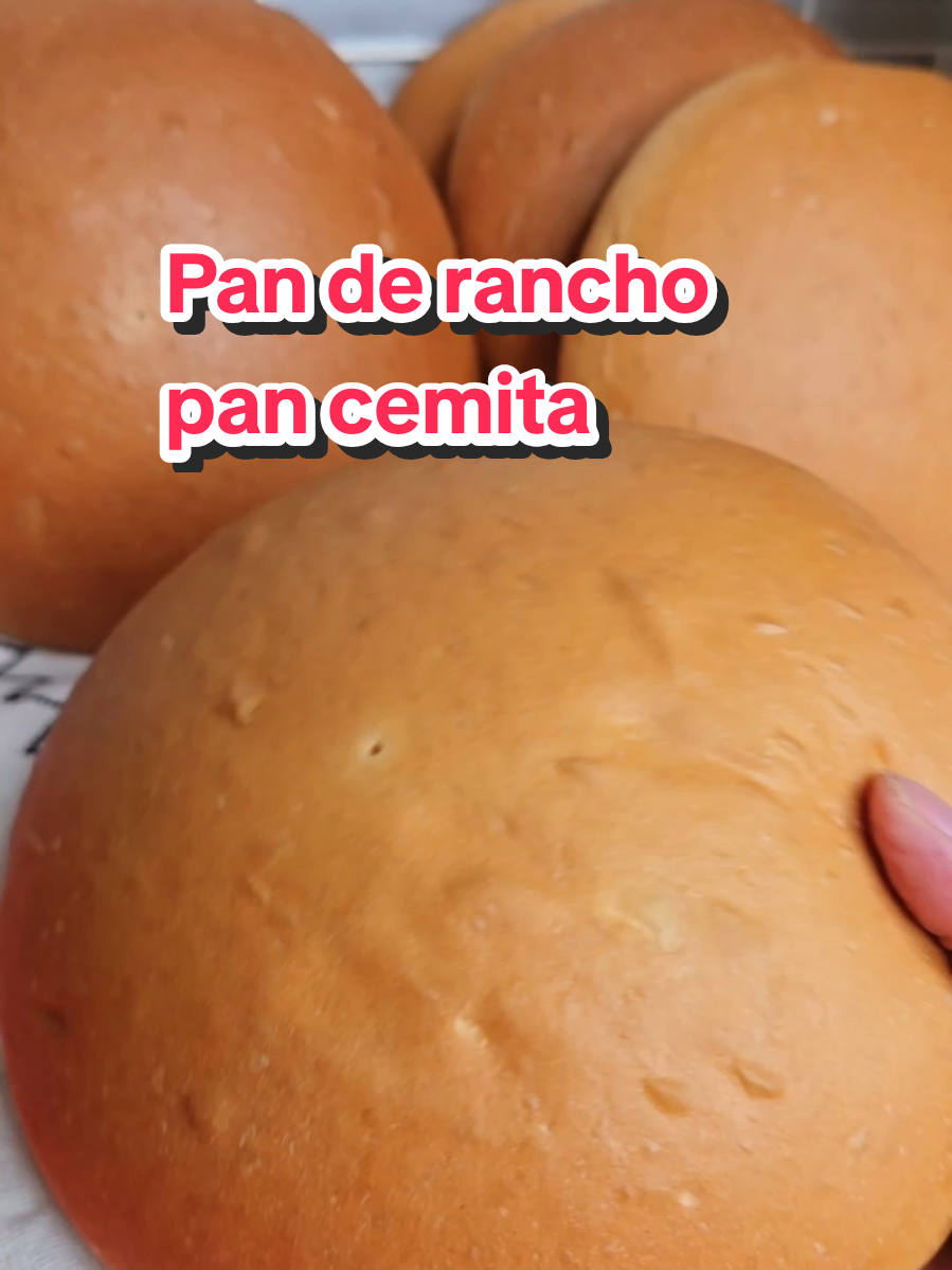 Respuesta a @faby_0214 Como se hace el pan cemita, receta de pan cemitas, pan de mujer receta #pan #pandemujer #cemitas #panderancho #recetas 