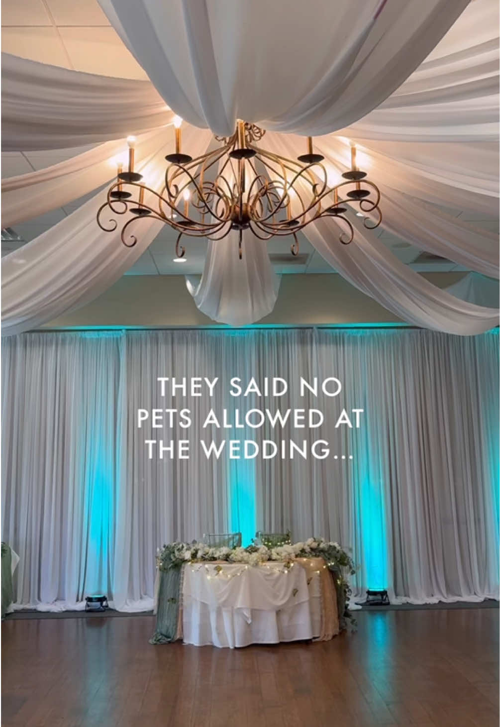 They said no pets allowed at the wedding… 👀 But Dex & Johnie found a loophole. ✨ Guests got to “adopt” their furry friends in sticker form — and let’s just say, the kiosk was busy all night. 💌 Because if your pets can’t crash the reception, their stickers absolutely can. 🐶🐱💖 ✨ Ready to give your guests a keepsake they’ll actually keep? Learn more & book at www.thekeepsakekiosk.com  #WeddingEntertainment #WeddingDetails #SoCalEvents #EventInspiration #WeddingStyle  