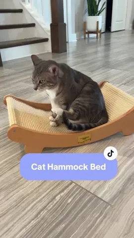 Love that this cat hammock bed is also a scratching pad for them also. @CheerPals #cathammock #catscratcher #catbed #catscratchbed #catfurniture 