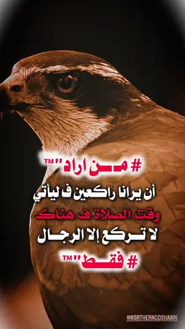 صباح الخير🥱#استوريات #عبارات_جميلة_وقويه😉🖤 #مجرد________ذووووووق🎶 #اكسبلورexplore #fypシ゚viral🖤tiktok☆♡🦋myvideo 