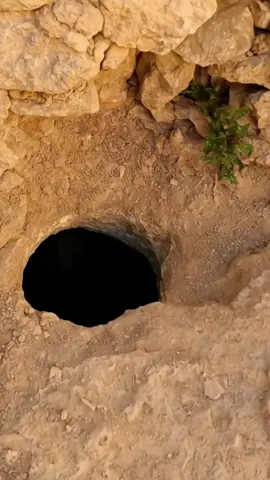 Exploring a Secret Ancient Grave and Finding a Real Treasure! #history #treasuresearching #adventure #treasurehunting #treasure 