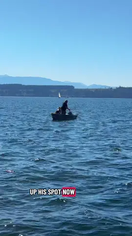 🦀 deadliest catch 