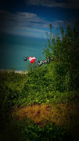 أمي❤️‍🩹#الواليدة_الواليدة_الواليدة💘🧓👵 #تصميم_فيديوهات🎶🎤🎬 #fouryoupage #الشعب_الصيني_ماله_حل😂😂 