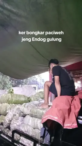 lierr#endoggulung #fyp #bongkarsayur #sayur #pasarinduk 