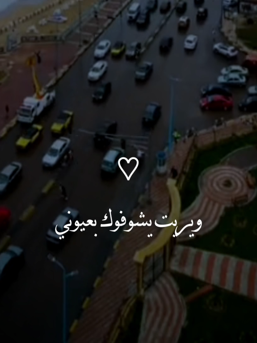 ويريت يشوفوك بعيوني💜✨#تصميمي #تصميم_فيديوهات🎶🎤🎬 #حلات_واتس #foryou #foryoupage 