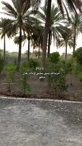 #باسم_الكربلائي #الشعب_الصيني_ماله_حل😂😂 #بستان #كربلاء #اكسبلور #100k #مالي_خلق_احط_هاشتاقات #الشعب_الصيني_ماله_حل😂😂 #مالي_خلق_احط_هاشتاقات🧢 #الحمدالله_علی_کل_حال❤ #هواجيس #حزن #باسم_الكربلائي 