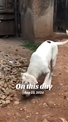 #onthisday 
