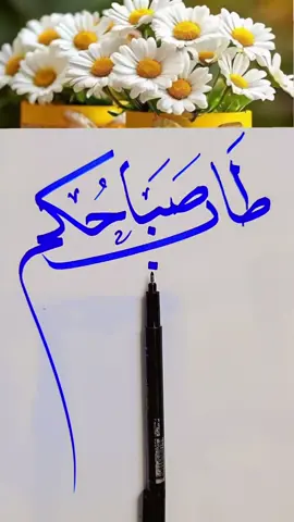 #الخطاط_شفاف #صباح_الخير 