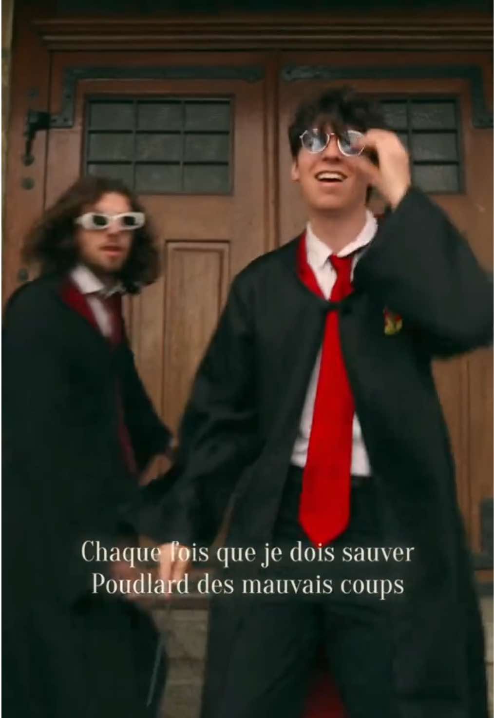 Harry veut sa BBL #harrypotter #fyp #pourtoi #theodora #parodysong 
