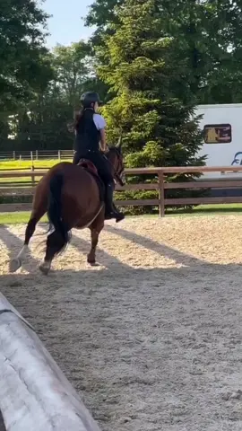 اهخخ طيحتها قويه بسم الله عليها😢#خيل_وخياله🐎 #راشد_الماجد🤍 #ترند #الشعب_الصيني_ماله_حل 