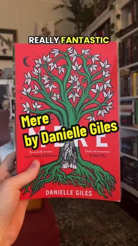Hello, this is a mini review/recommendation for a grotty little bog novel.  #BookTok #books #historicalfiction #medieval 
