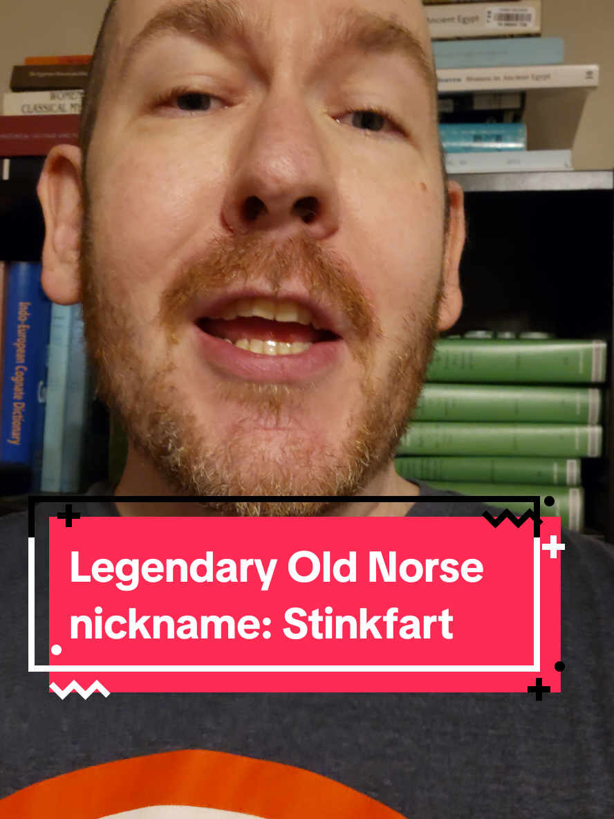 Great Old Norse nickname: Stinkfart. #norse #oldnorse #oldnorsewordoftheday #medievaltiktok #medievaltimes 