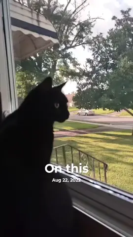 #onthisday