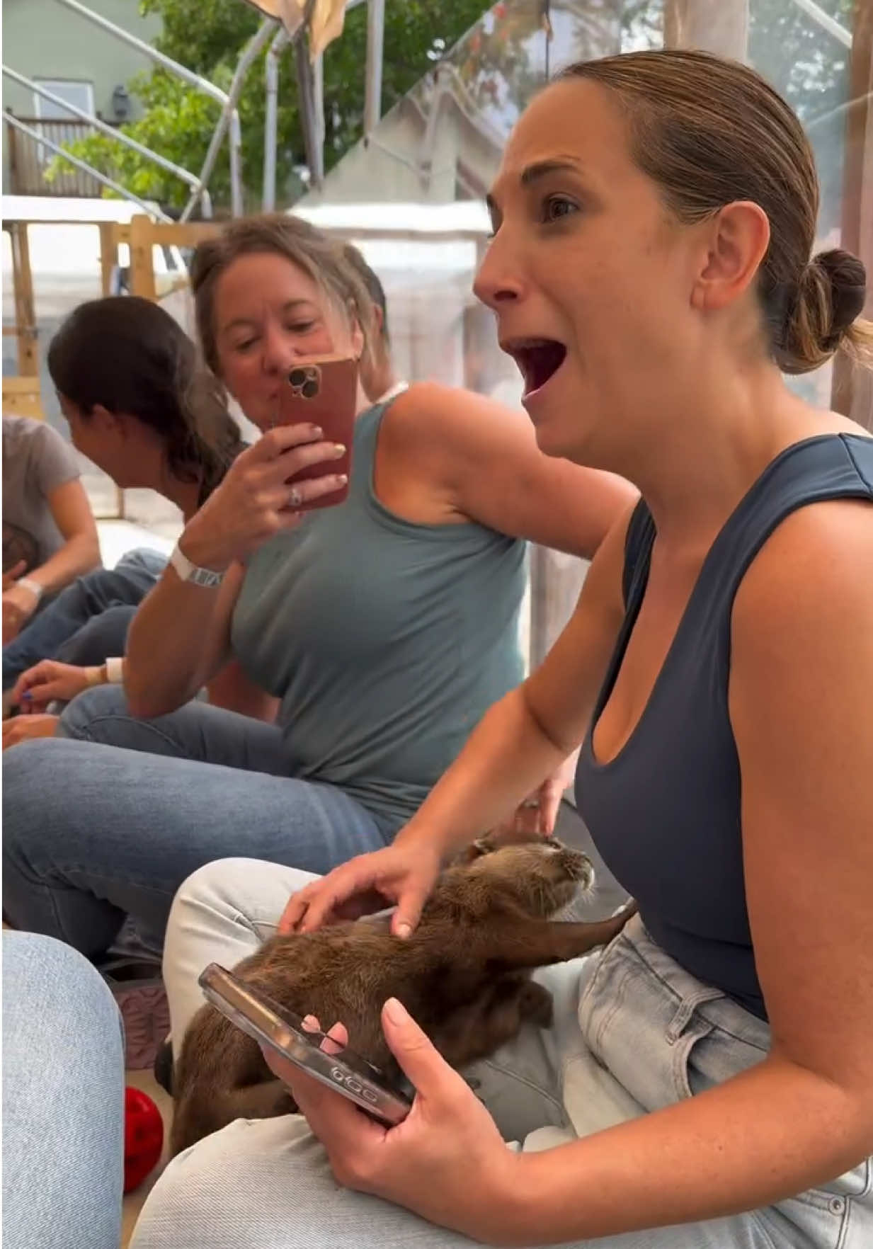 Want to HOLD & PLAY with our OTTERS🦦 This is your once-in-a-lifetime shot!🐾  Book Now at AnimalEDventures.com  Snap pics • Bottle-feed baby kangaroos • Meet capybaras • Hug a sloth • Hand-feed porcupines! 🎟️ VIP Behind-the-Scenes Tours — Small groups. Big memories. Use code FREEDOM for 15% OFF any tour or add-on! Promo Code Expires Tonight!  Add an OTTER SWIM!  👉 Book now at AnimalEDventures.com On a budget? $25 Safari Walkthrough tours available Need Merch? We Got You! Located in Boynton Beach fl #ForYouPage #ForYou #Fyp 
