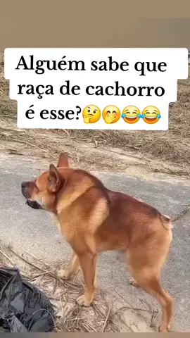 curiosidade #boanoite #humor #humortiktok #fouryou #foryoupage 