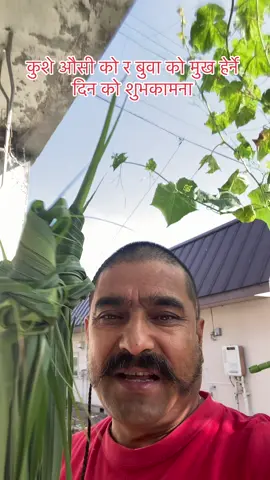 कुशे औसी को र बुवा को मुख हेर्ने दिन को शुभकामना #viralmyvideo #nandarajregmi #jungekocomedy #dvcसेबानैधर्महो #galkote_group 