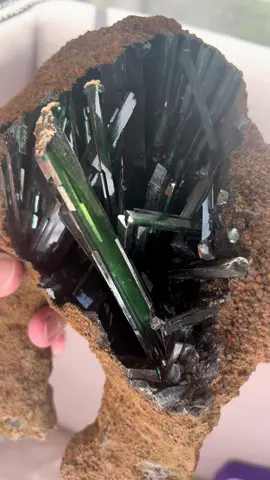 Vivianite crystals from Brazil Etsy: InclusionCuriosities  #mineral #vivianite #crystal #green #horseshoe 