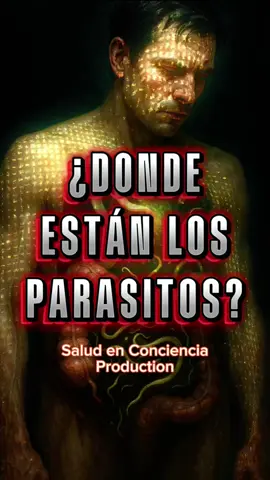 #salud #intestino #pulmones #estomago #higado 