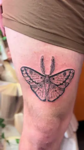 cool moth! Cool moth! Cool moth! Thank you always Seth!! #tattoos #mothtattoo #whimsicaltattoo #orlandoflorida #orlandotattooartist 