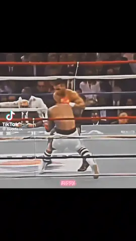 Mike Tyson was a problem 😂😂😂😂😂😂😂😂😂😂