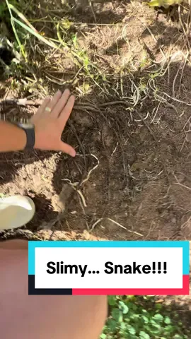 That’s a 2 for 1! #viral #learn 