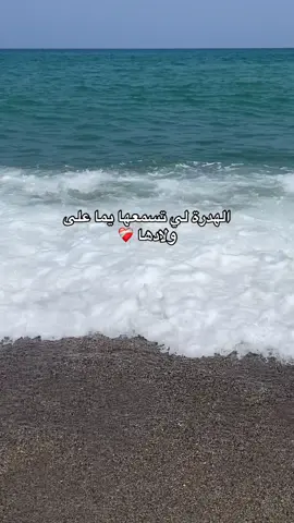 Yema ❤️‍🩹#شعب_الصيني_ماله_حل😂😂😂😂🤦 #tiktoknews #vrial_video #fypシ゚ #cettechanson 