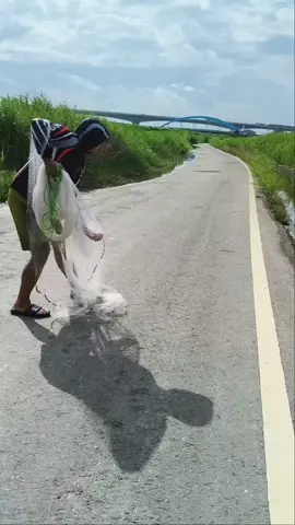 cast net fishing50 #pesca #mar #fishing #fishman 